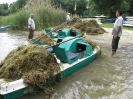 Teichräumung Alte Donau_31