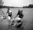 Donau Oder Kanal (1958)