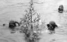 Neufeldersee ORF Weihnachten 1969