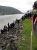 10. Internationales Wachauer Donauschwimmen 2004_57