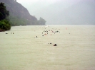 10. Internationales Wachauer Donauschwimmen 2004_71