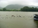 10. Internationales Wachauer Donauschwimmen 2004_88
