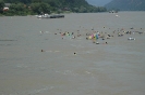 11. Int. Donauschwimmen 2006 & 50 Jahre TCA_139