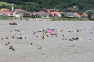 14. Internationales Wachauer Donauschwimmen 2012_56