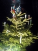 Weihnachtsfeier 2004_17