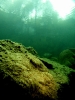 Vordere Gosausee_12