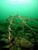 Vordere Gosausee_2