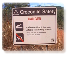 crocsafety